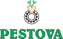 Peshtova